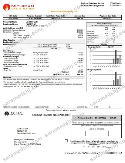 USA Michigan gas Utilities utility bill template in Word and PDF format version 1